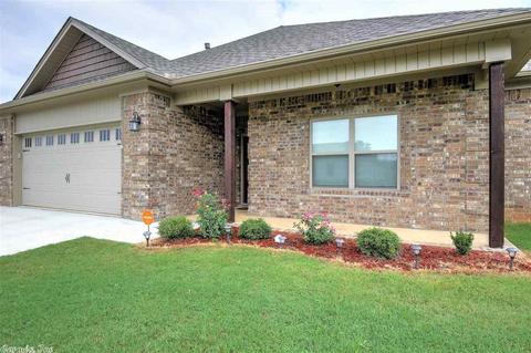 734 Mango Loop, Austin, AR 72007 photo 4