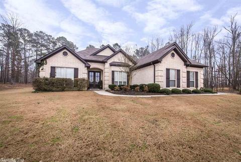 14792 Congo Ferndale Rd, Alexander, AR 72002 photo 40