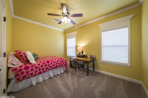 14792 Congo Ferndale Rd, Alexander, AR 72002 photo 28