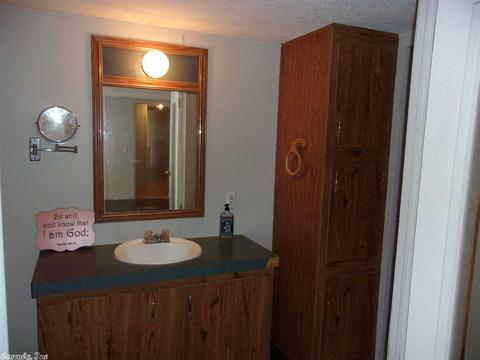 177 Jackson Ave, Mayflower, AR 72106 photo 15