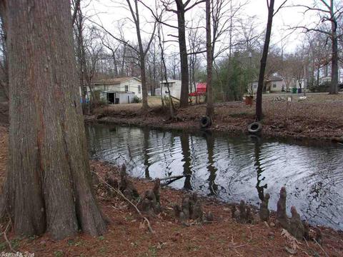 177 Jackson Ave, Mayflower, AR 72106 photo 4