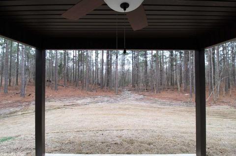 345 Reuben Dr, Alexander, AR 72002 photo 27