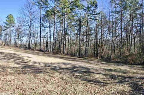 9017 Green Mountain Road Rd, Alexander, AR 72002 photo 3