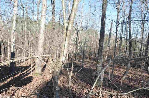 9017 Green Mountain Road Rd, Alexander, AR 72002 photo 15
