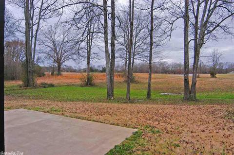 20 Paiger Ln, Greenbrier, AR 72058 photo 29