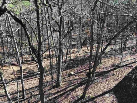 36 Peninsula Dr # D, Mount Ida, AR 71957 photo 20