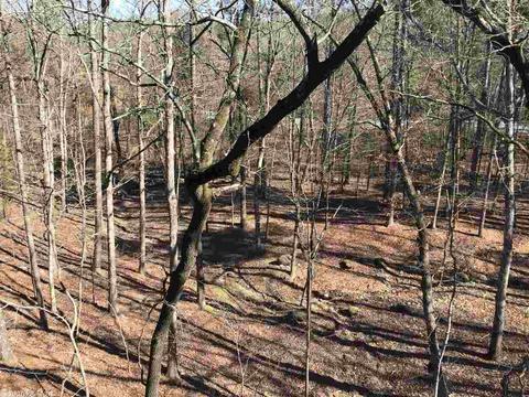 36 Peninsula Dr # D, Mount Ida, AR 71957 photo 19