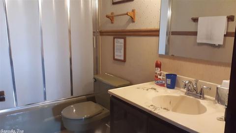 167 Bearce Cir, Mount Ida, AR 71957 photo 6