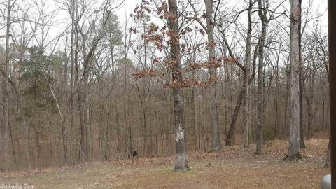 167 Bearce Cir, Mount Ida, AR 71957 photo 18