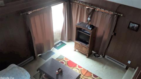 167 Bearce Cir, Mount Ida, AR 71957 photo 8