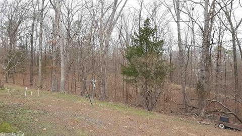 167 Bearce Cir, Mount Ida, AR 71957 photo 17