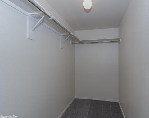 6249 Saddle Hill Dr, Alexander, AR 72002 photo 18
