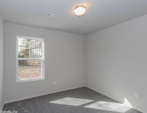 6249 Saddle Hill Dr, Alexander, AR 72002 photo 20