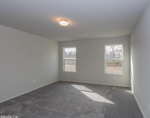 6249 Saddle Hill Dr, Alexander, AR 72002 photo 14