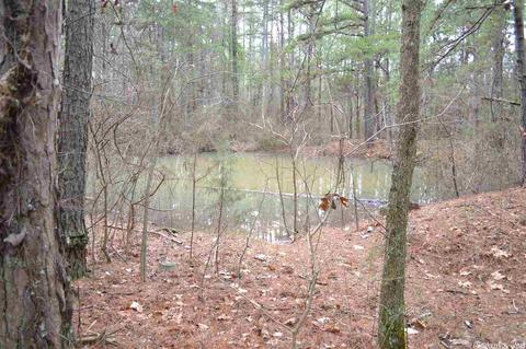 672 Cobblers Ln, Leslie, AR 72645 photo 9