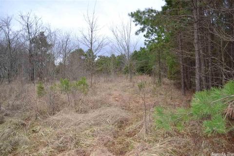 672 Cobblers Ln, Leslie, AR 72645 photo 7