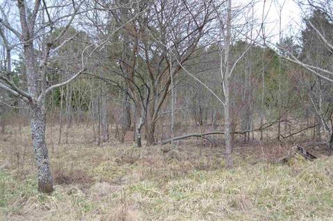 672 Cobblers Ln, Leslie, AR 72645 photo 2