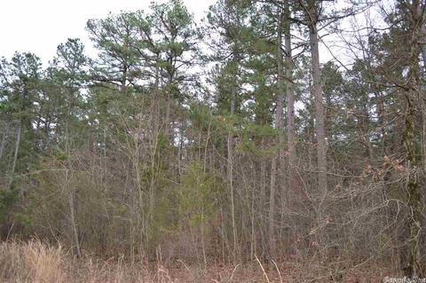 672 Cobblers Ln, Leslie, AR 72645 photo 8