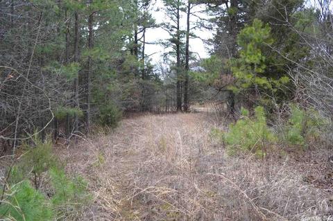 672 Cobblers Ln, Leslie, AR 72645 photo 6