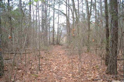 672 Cobblers Ln, Leslie, AR 72645 photo 4