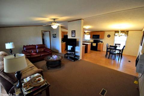 159 Race Ln, Mena, AR 71953 photo 7