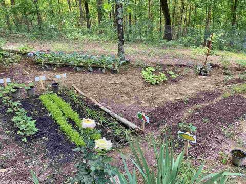 4150 Edgemont Rd, Quitman, AR 72131 photo 15