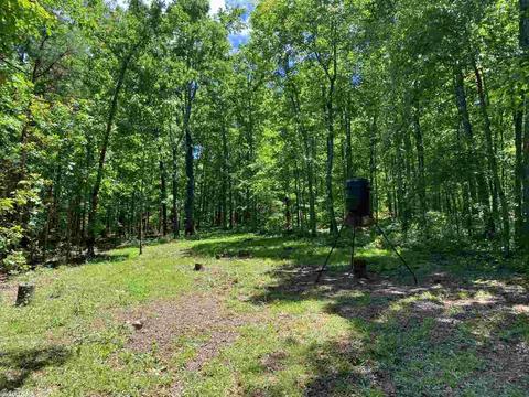4150 Edgemont Rd, Quitman, AR 72131 photo 20