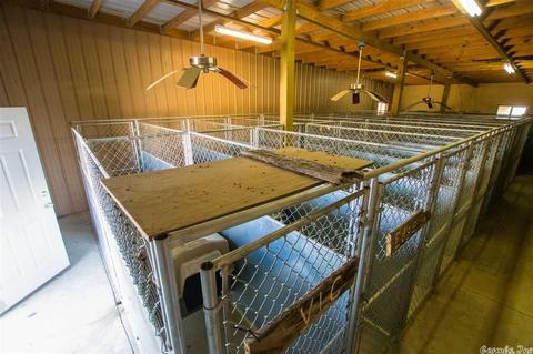 1088 Cr 170, Walnut Ridge, AR 72476 photo 34