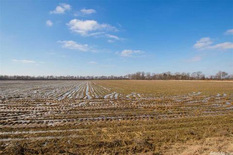 1088 Cr 170, Walnut Ridge, AR 72476 photo 1