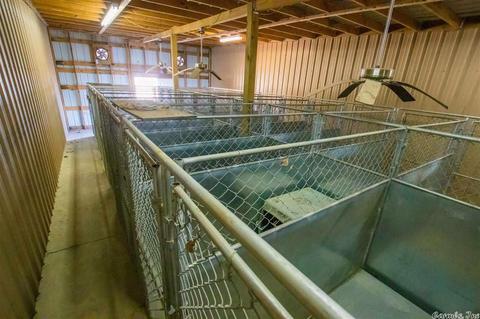 1088 Cr 170, Walnut Ridge, AR 72476 photo 35