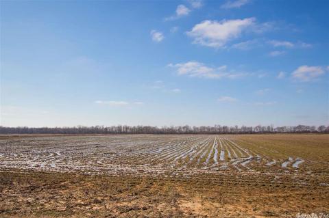 1088 Cr 170, Walnut Ridge, AR 72476 photo 2