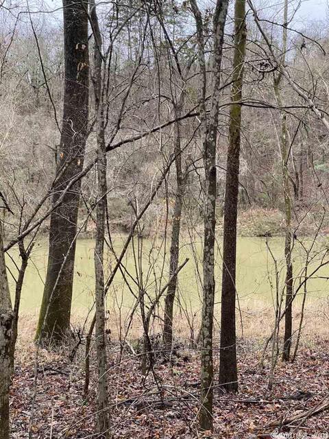 72 Puckett Cir, Mount Ida, AR 71957 photo 10