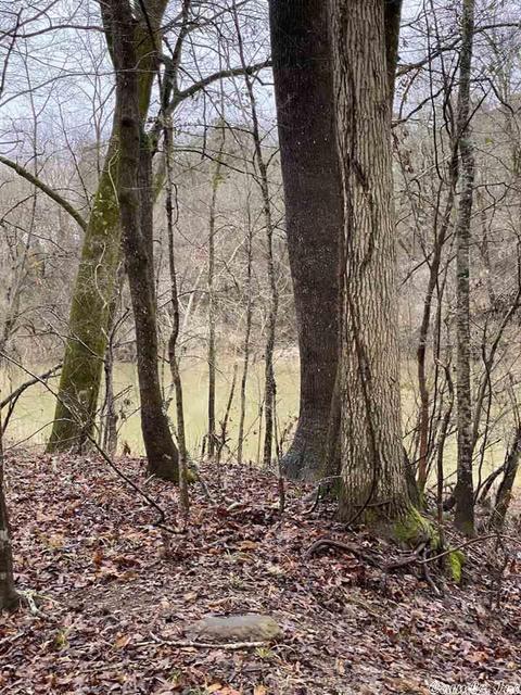 72 Puckett Cir, Mount Ida, AR 71957 photo 13