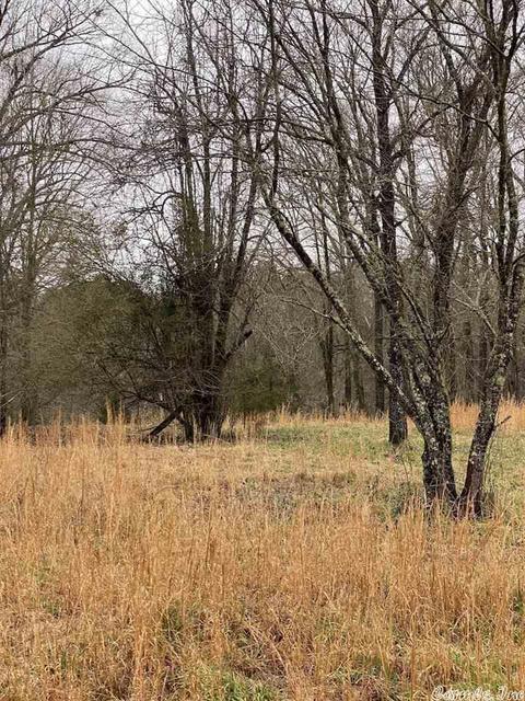 72 Puckett Cir, Mount Ida, AR 71957 photo 11