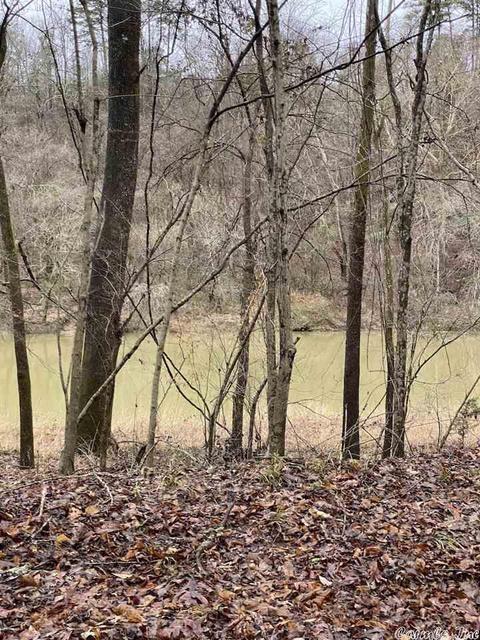 72 Puckett Cir, Mount Ida, AR 71957 photo 4
