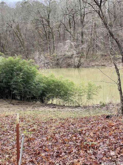 72 Puckett Cir, Mount Ida, AR 71957 photo 2