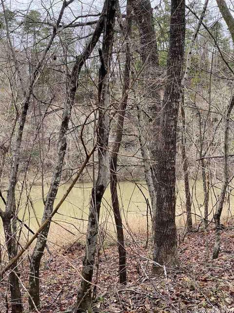 72 Puckett Cir, Mount Ida, AR 71957 photo 8
