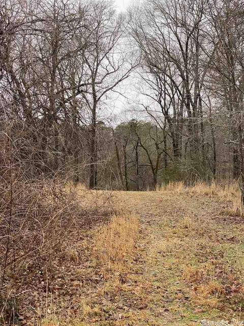 72 Puckett Cir, Mount Ida, AR 71957 photo 9