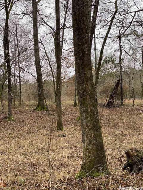 72 Puckett Cir, Mount Ida, AR 71957 photo 12