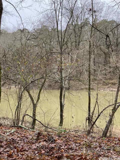72 Puckett Cir, Mount Ida, AR 71957 photo 1