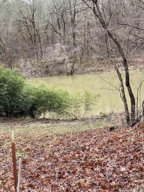 72 Puckett Cir, Mount Ida, AR 71957 photo 3