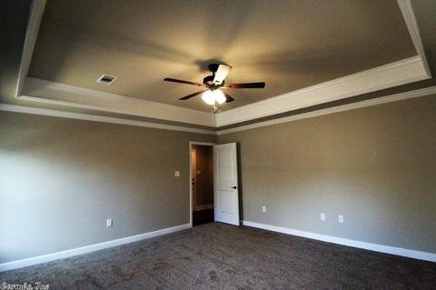 289 Reuben Dr, Alexander, AR 72002 photo 28