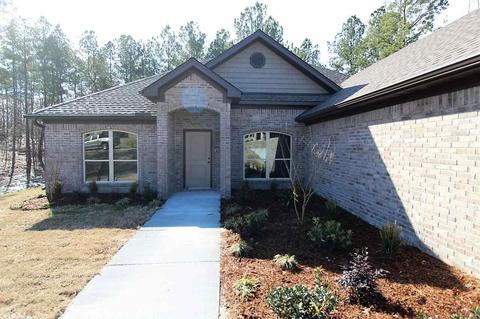 289 Reuben Dr, Alexander, AR 72002 photo 5