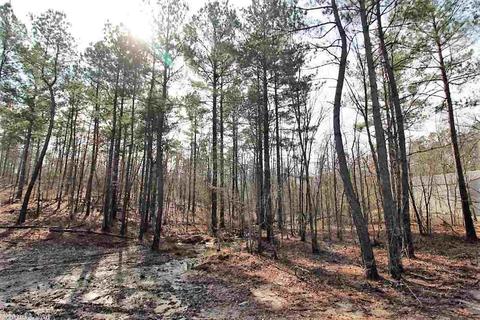 289 Reuben Dr, Alexander, AR 72002 photo 36