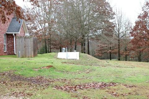 2361 Red Bridge Rd, Horatio, AR 71842 photo 19
