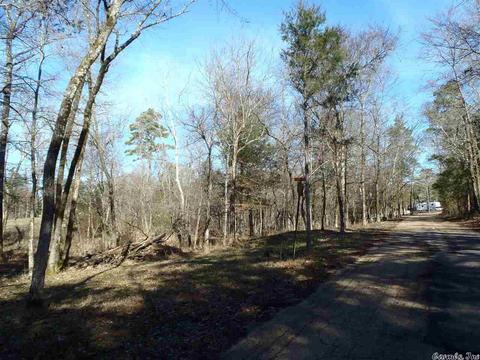157 Simmons Trl, Royal, AR 71968 photo 7