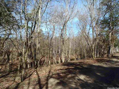 157 Simmons Trl, Royal, AR 71968 photo 8