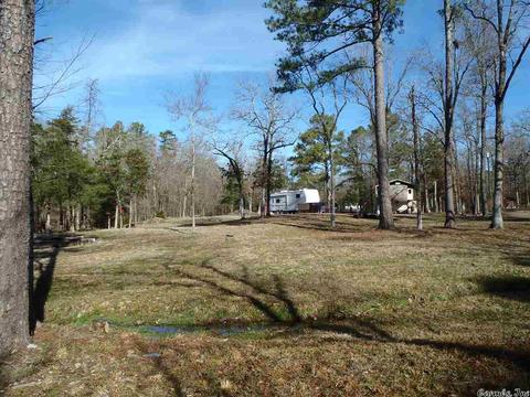 157 Simmons Trl, Royal, AR 71968 photo 10
