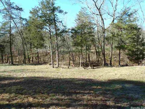 157 Simmons Trl, Royal, AR 71968 photo 20