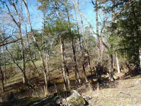 157 Simmons Trl, Royal, AR 71968 photo 15